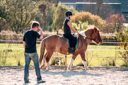 Reiten Lernen Auf Dem Schaferhof In Brandenburg Bei Berlin