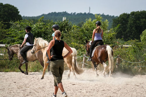 Reiten Lernen Auf Dem Schaferhof In Brandenburg Bei Berlin