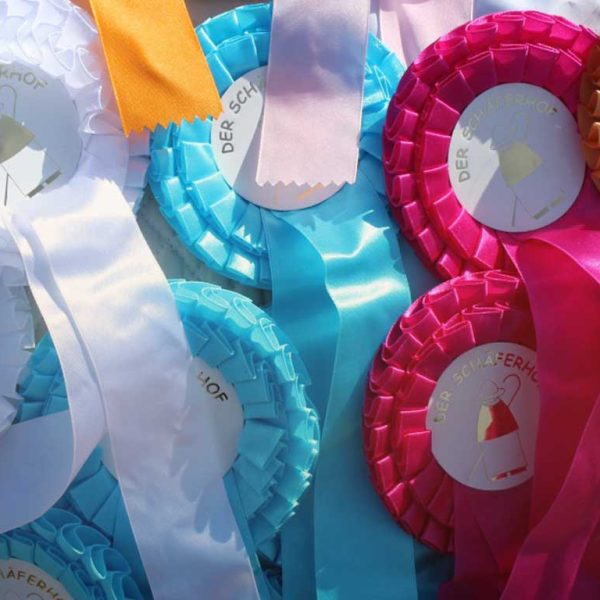 B5-Schaeferhof-qualifikation-titel